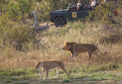 Baobab Ridge Lodge