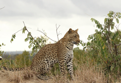 Baobab Ridge Lodge