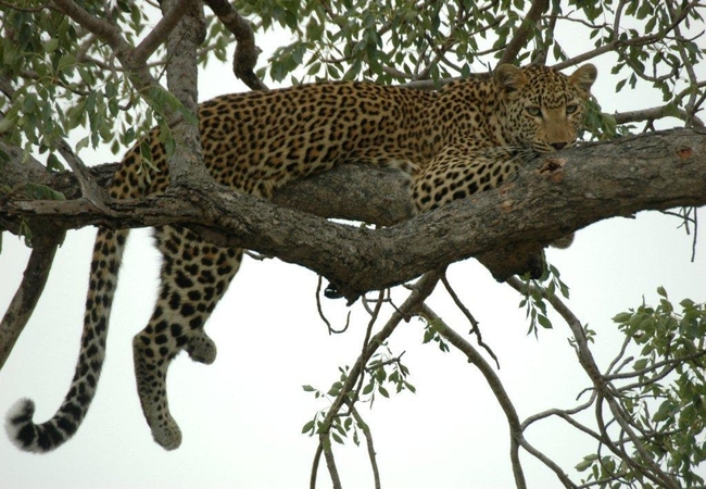 Baobab Ridge Lodge