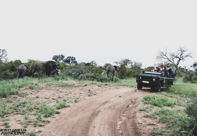 Baobab Ridge Lodge