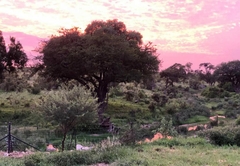 Barn Owl Lodge