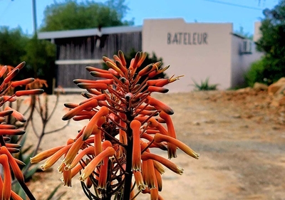 Fossil Hills Bateleur Cottage