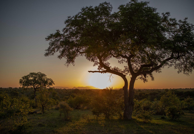 Bateleur Safari Camp