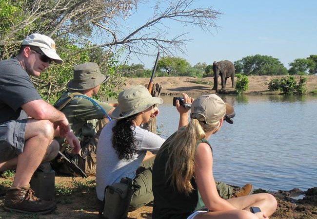 Bateleur Safari Camp