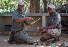 Bateleur Safari Camp