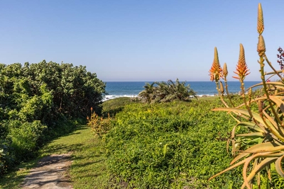 Beach Pathway 