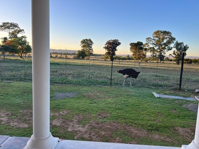 Bethulie Guest Farm