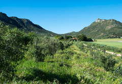 Black Eagle @ Fynbos Estate