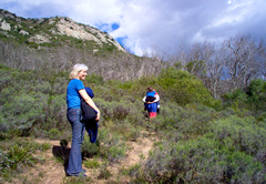 Black Eagle @ Fynbos Estate