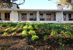 Black Oystercatcher Cottages