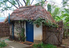 Blue Cottages