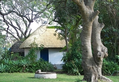 Blue Cottages