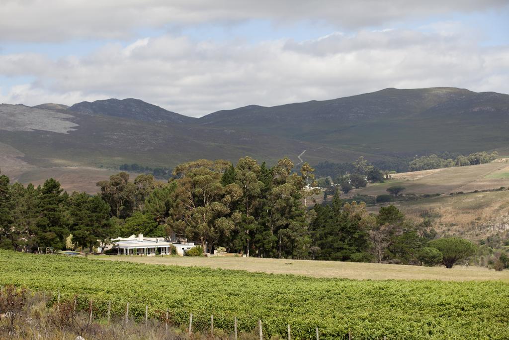 Blue Gum Country Estate