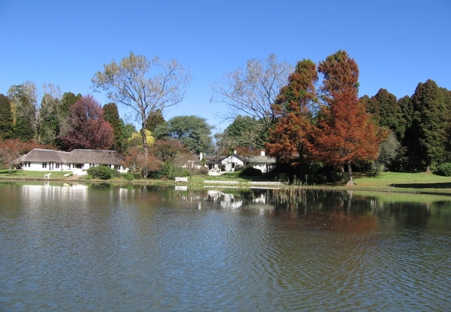 Beacon Vlei 