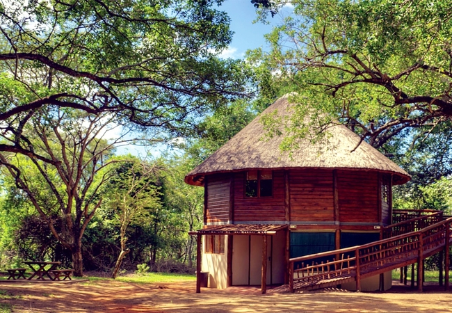 Rustic Family Tree House