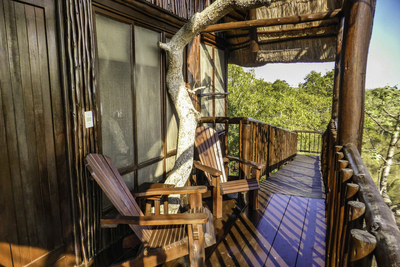 Giraffe Family Tree House 