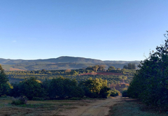 Boschoek Farm House