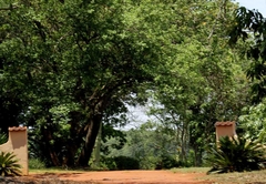 Boschoek Farm House