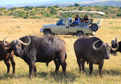 Botlierskop Bush Villas