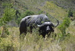 Brackenhills Private Nature Reserve