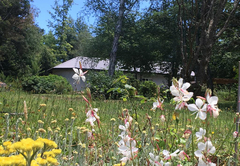 Bramber Cottage