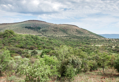 B'sorah Luxury Tented Camp