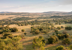 B'sorah Luxury Tented Camp