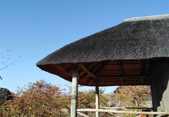 Buffalo Tented Lodge