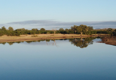 Buffalo Tented Lodge