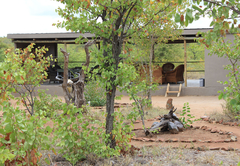 Buffalo Tented Lodge