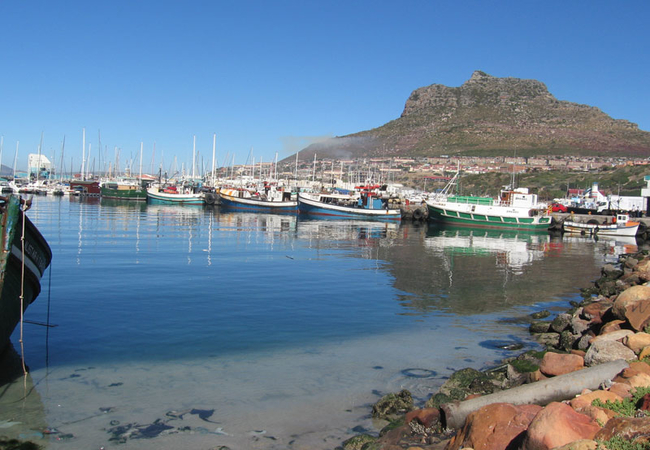 Hout Bay harbour