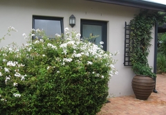 Front entrance to cottage