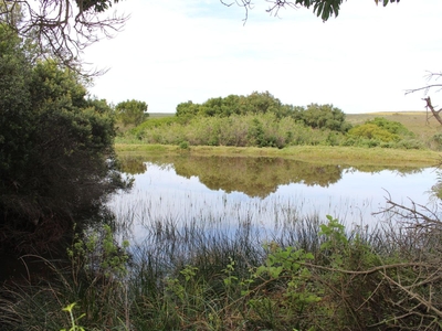 BushBuck Farm Eco-Retreat