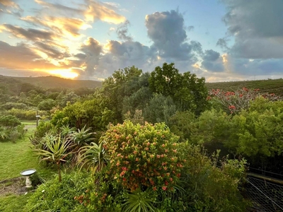 BushBuck Farm Eco-Retreat