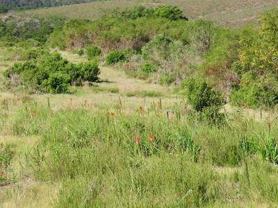 BushBuck Farm Eco-Retreat