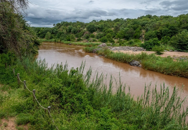 Bushriver Kingfisher Cottage