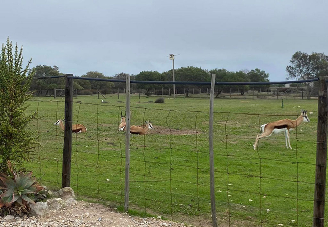 The Smallholding