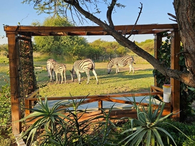 Bushveld Magic