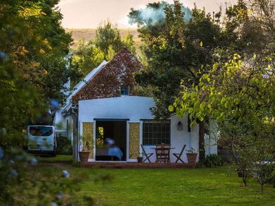 Cape Weaver Greyton