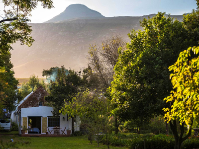 Cape Weaver Greyton