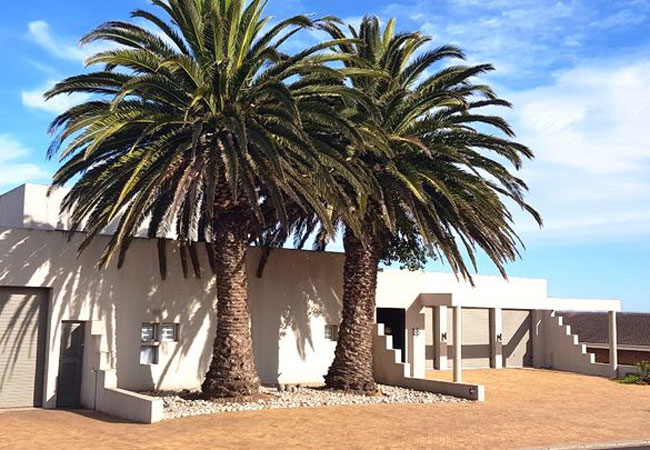 tourist attractions in langebaan