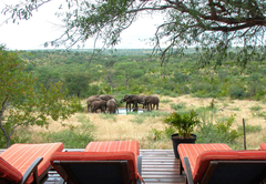 Casart Game Lodge