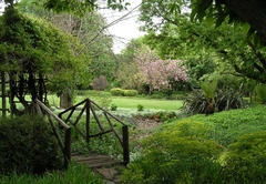 Cedar Garden