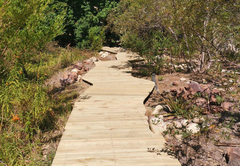 Cederkloof Forest Camp