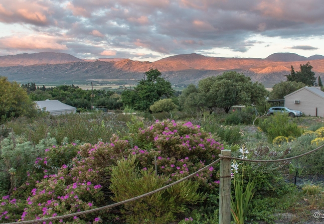 Cederkloof Botanical Retreat