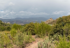 Cederkloof Botanical Retreat