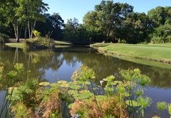 Kruger Park Lodge