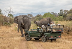 Chisomo Safari Lodge