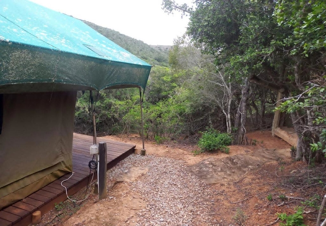 Tented Camp Double