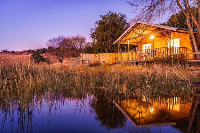 Copperleigh Trout Cabin